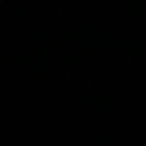 Meet your Posher, Gary